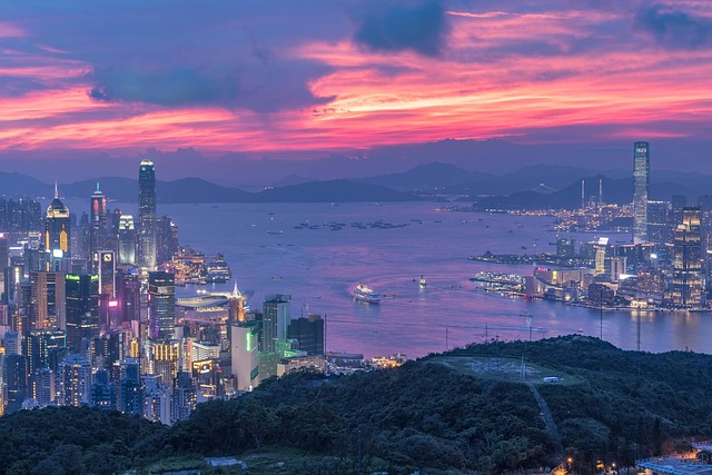 Betfair板球交易平台：香港博彩市場影響分析
